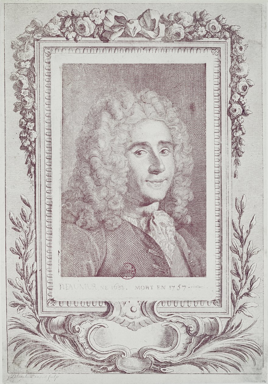 Rene Antoine Ferchault de Reaumur (1683-1757) by Jean Guillaume Blanchon