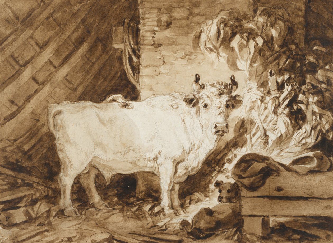 Beyaz Boğa ve Ahırda Bir Köpek by Jean Honore Fragonard