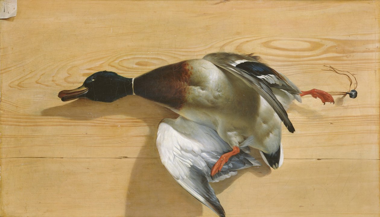 Çam tahtası üzerinde ördek, 1753 by Jean Jacques Bachelier
