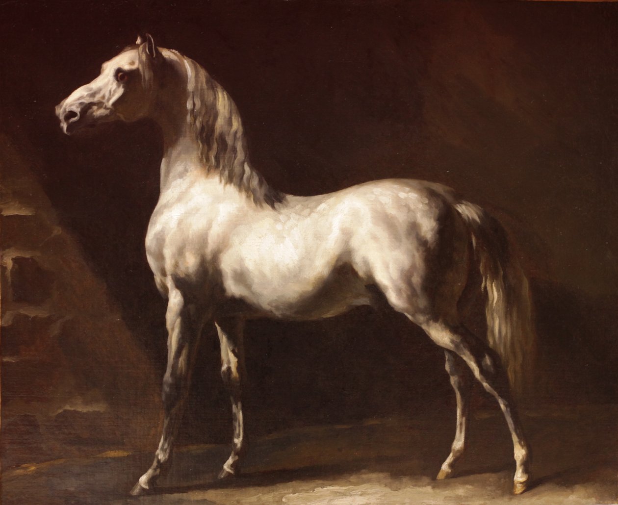 Gri-beyaz Arap atı by Theodore Gericault