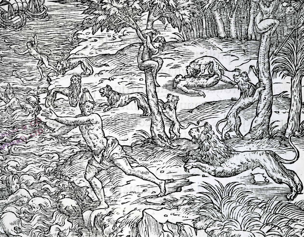 İnsanlara saldıran ve yiyen aslanlar, 1558