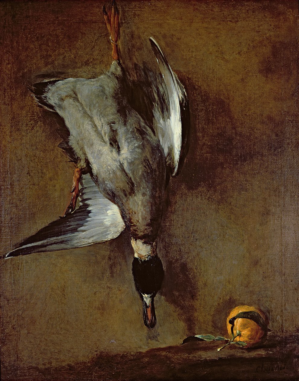 Sevilla portakallı bir duvara asılı yeşilbaş ördek, 1720-30 yağlı boya kanvas) by Jean Baptiste Simeon Chardin