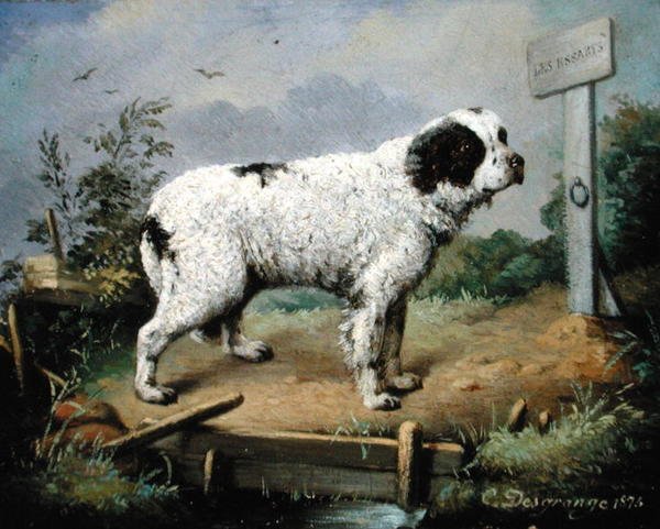 Bir Dolgu Üzerinde Bir Newfoundland by Jean Baptiste Desgrange