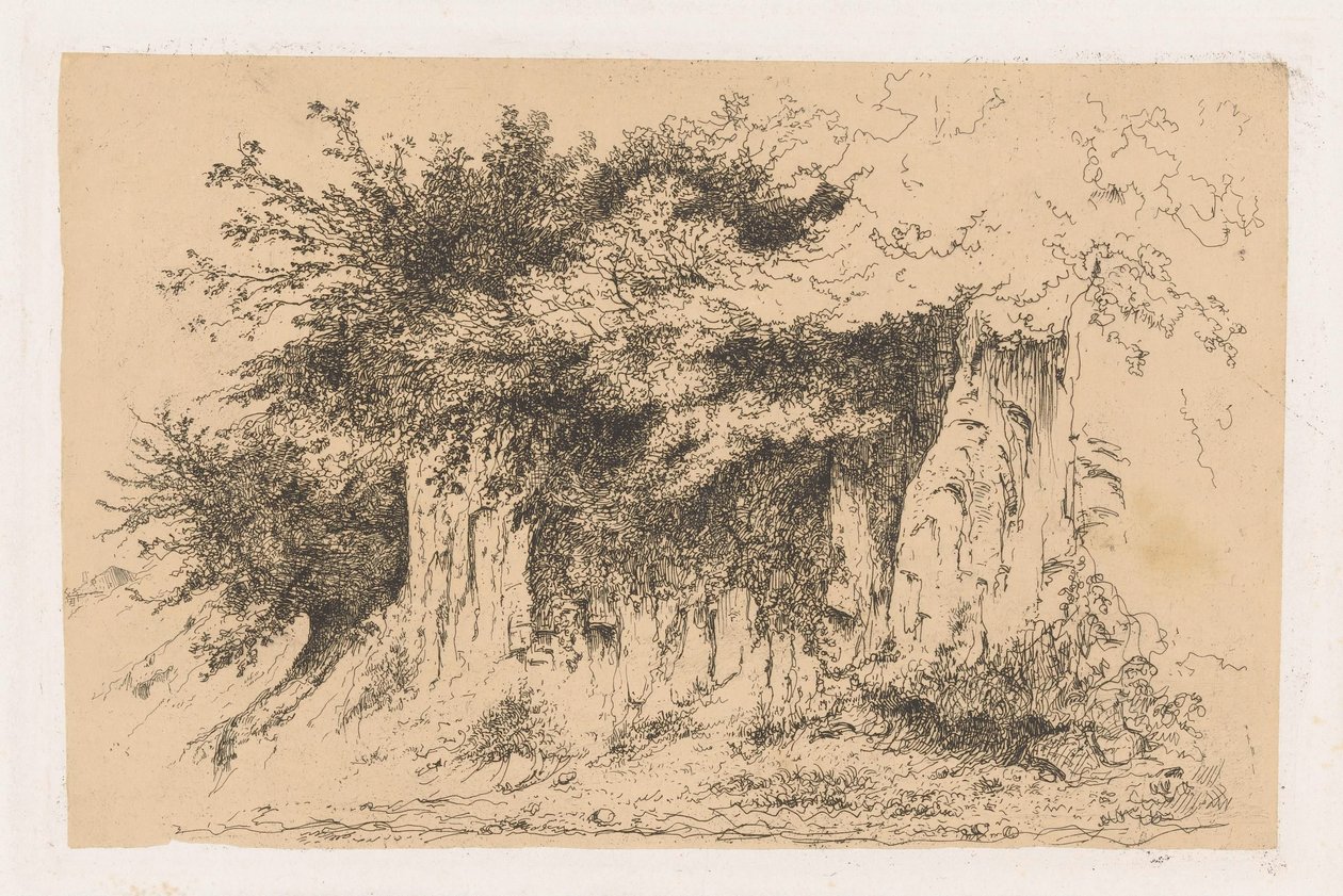 Toprak bir duvardaki çalılar by Jean Alexis Achard