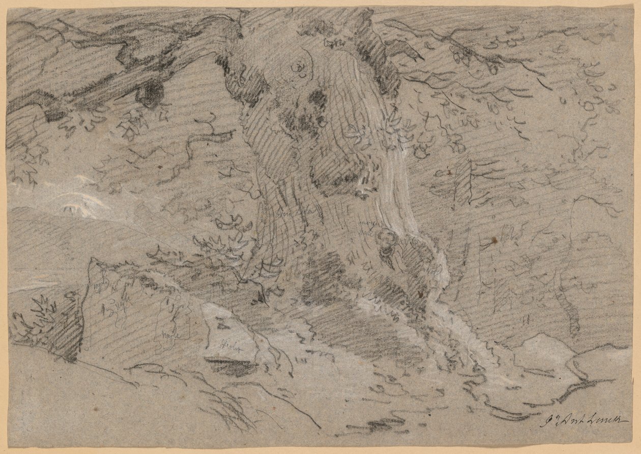 Yaşlı Ağaç Gövdesi Çalışması by Jean Antoine Linck