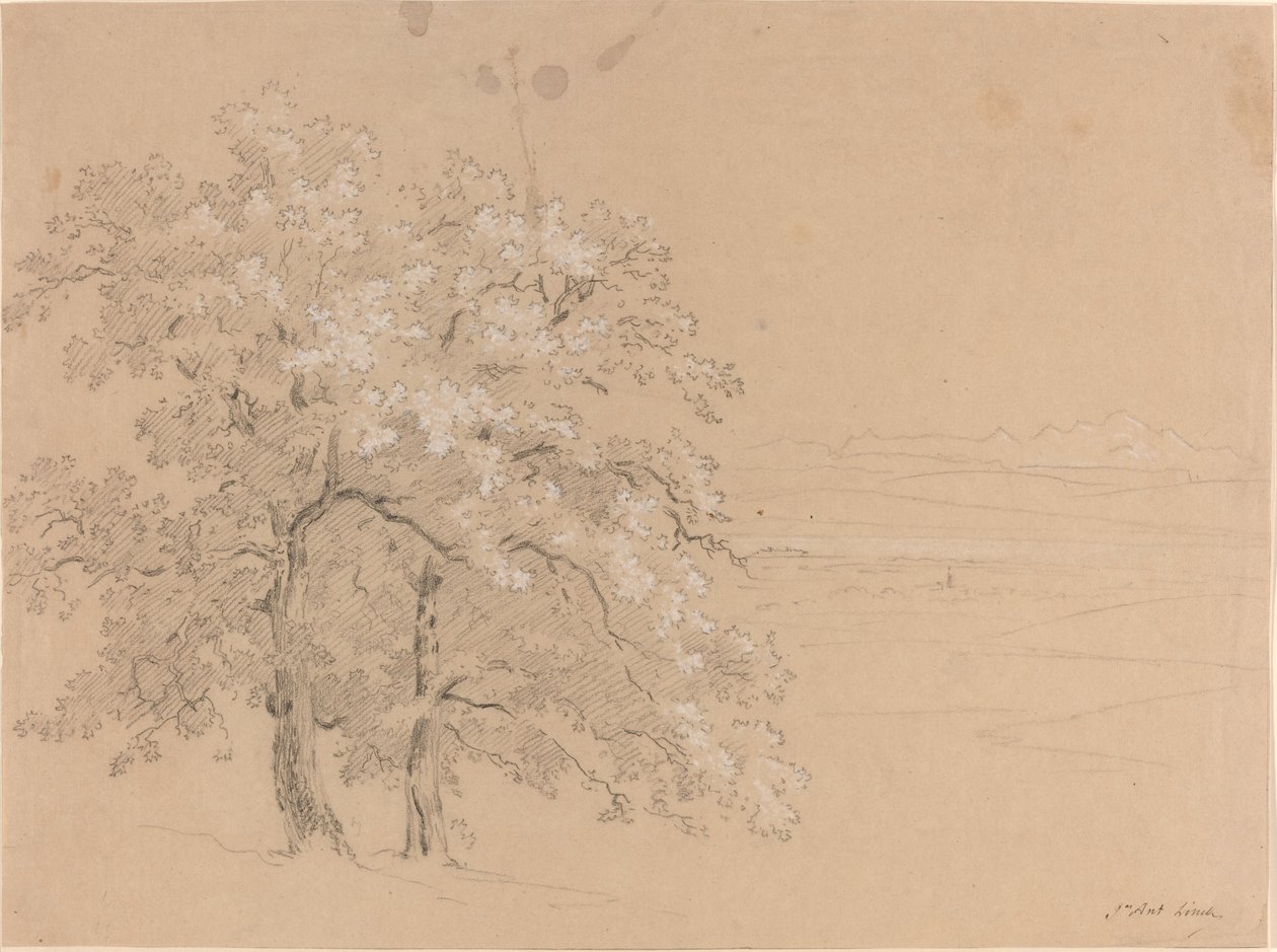 Panoramik Bir Manzaranın Önünde Güneşli Ağaçlar by Jean Antoine Linck