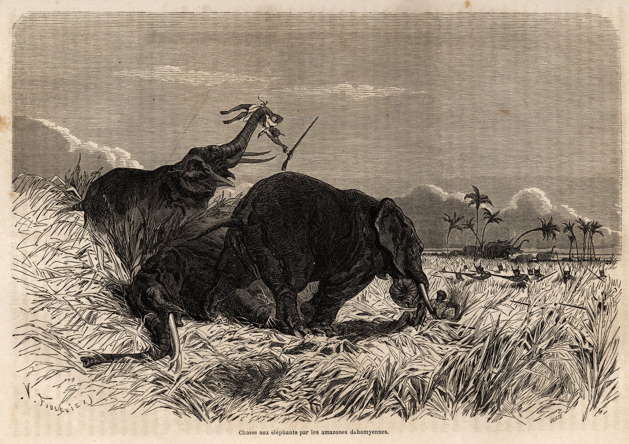 Dahomyan Amazonları tarafından fil avı by Jean Antoine Valentin Foulquier
