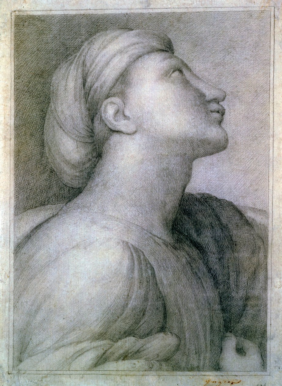 Yüz profili by Jean Auguste Dominique Ingres