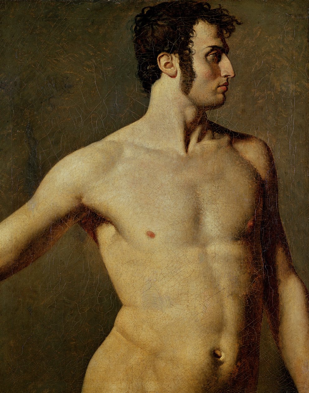 erkek gövde by Jean Auguste Dominique Ingres