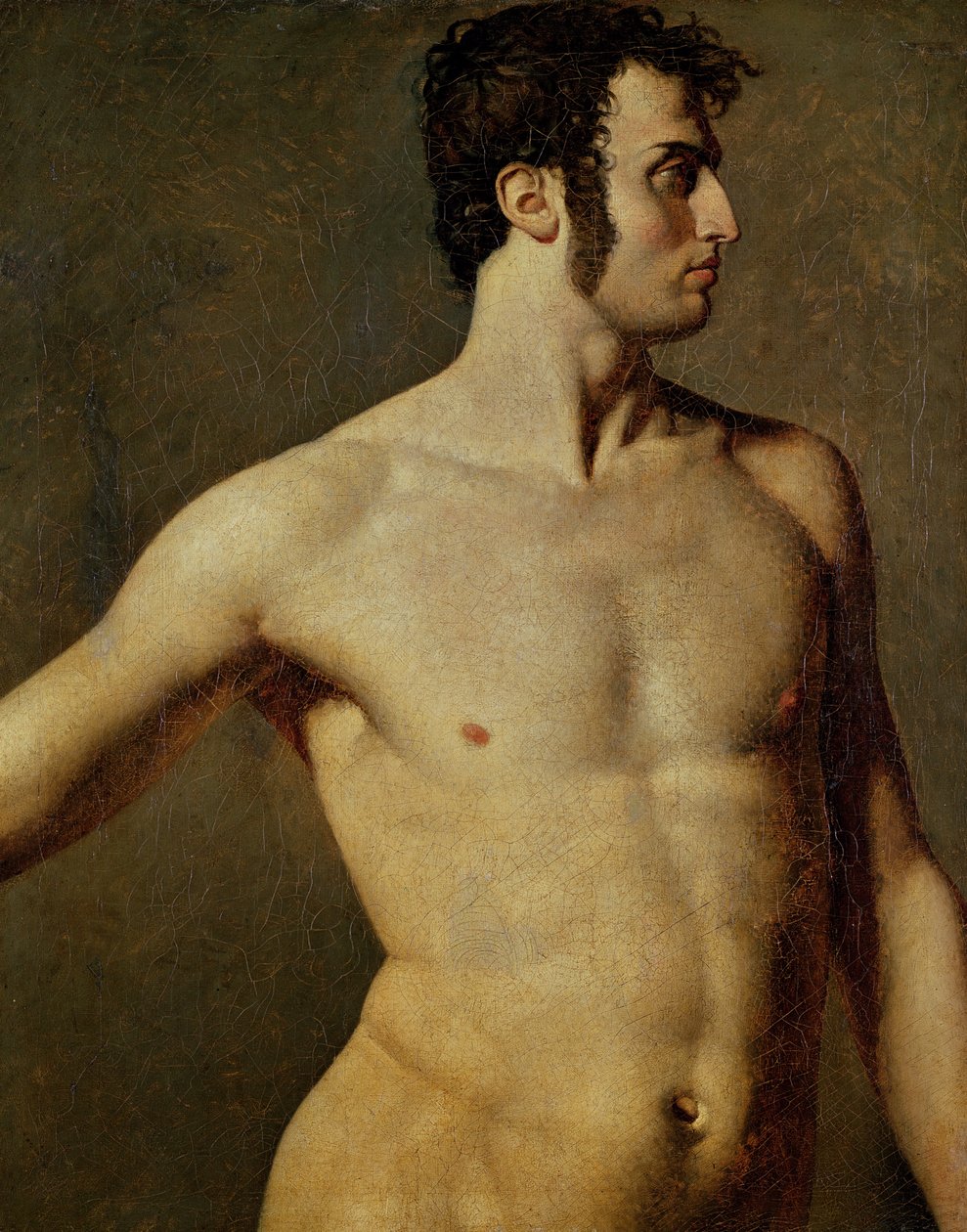 Erkek Gövde, c.1800 (tuval üzerine yağlı boya) by Jean Auguste Dominique Ingres