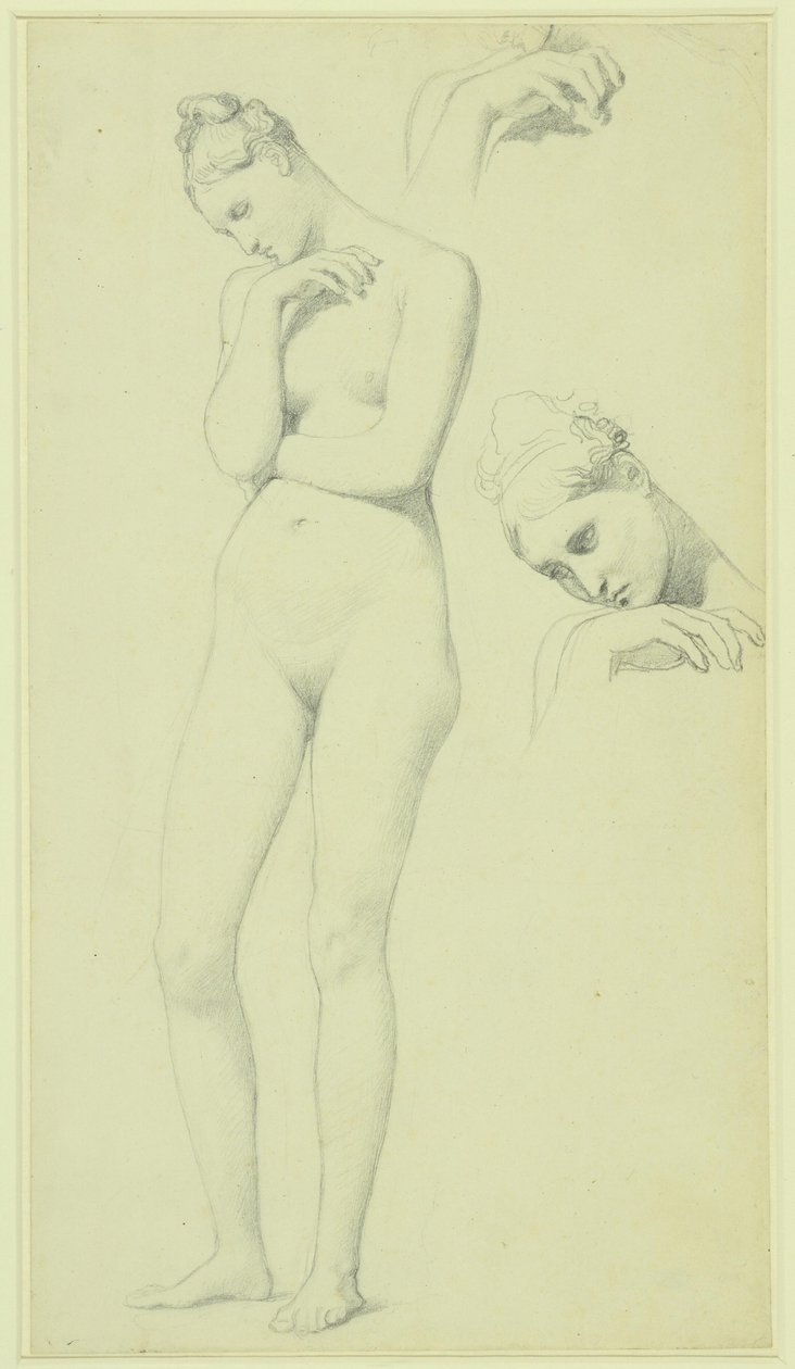  by Jean Auguste Dominique Ingres