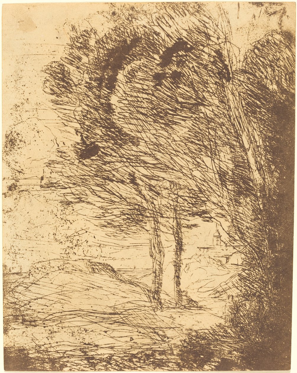 Cenova