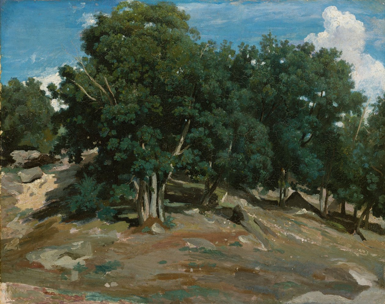 Fontainebleau: Bas-Bréau