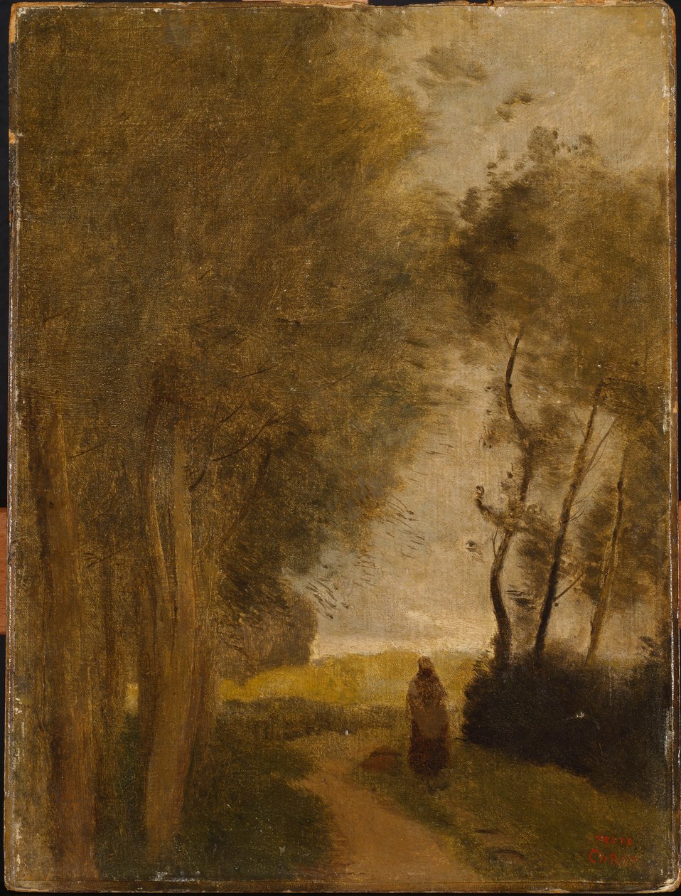Lisiere de Bois