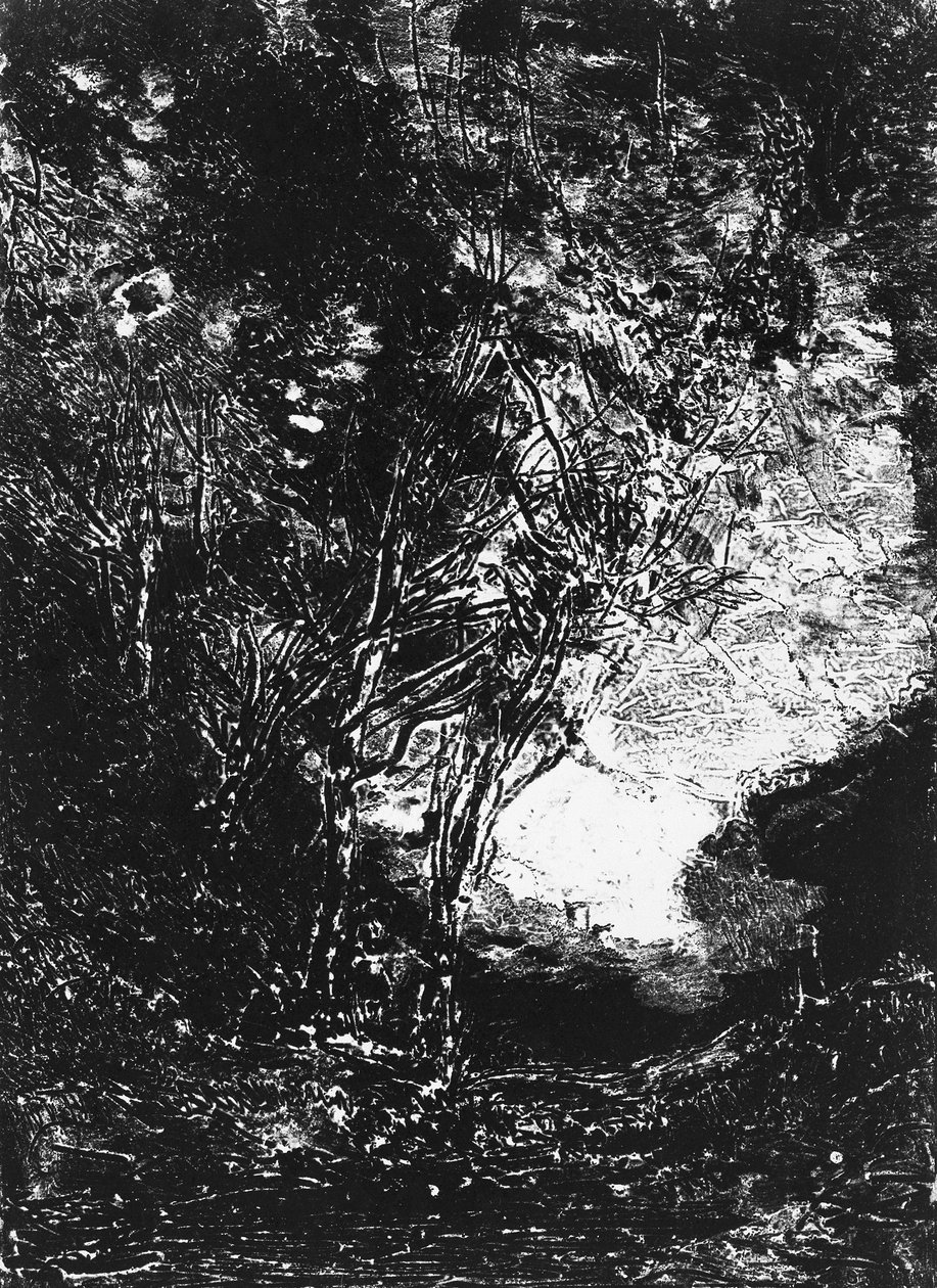Pusu L