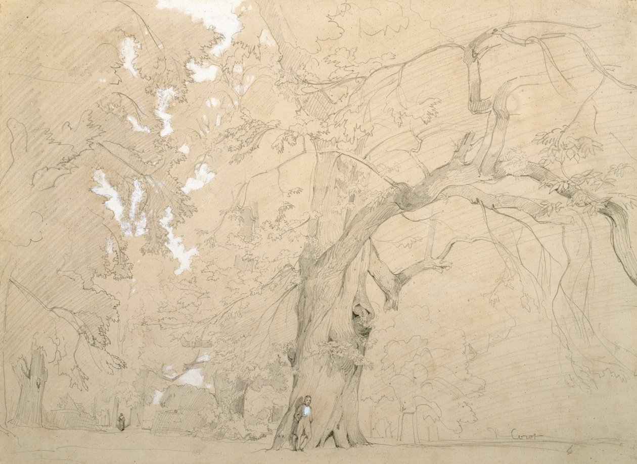 Büyük Meşe Önünde Genç Adam, 1840 dolayları (kağıt üzerine kalem ve guaj boya) by Jean Baptiste Camille Corot