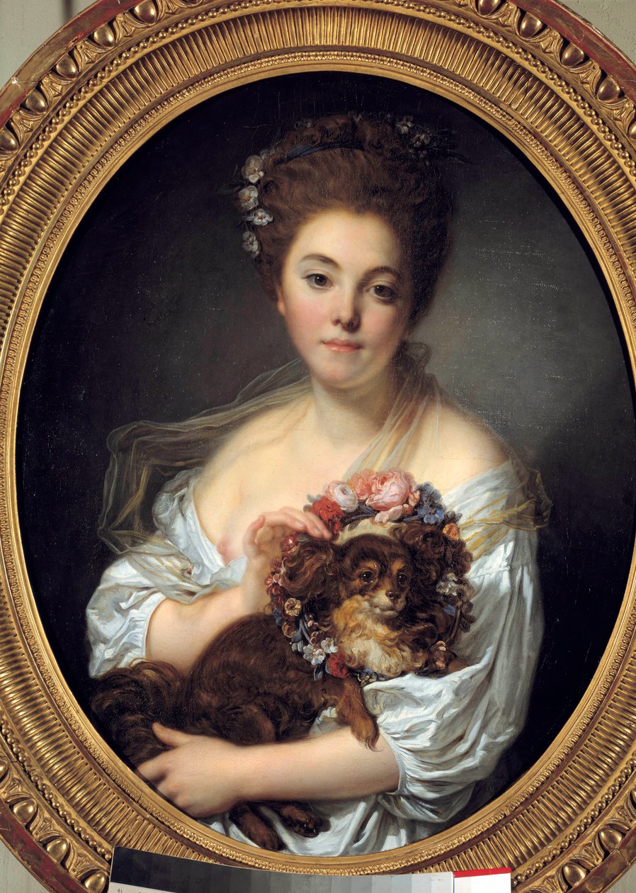 Madame De Porcin Portresi Jean Baptiste Greuze (1725-1805) tarafından yapılmıştır. 1770 yakl. Karartma 0,72 x 0,58 m. Öfke. güzel Sanatlar Müzesi by Jean Baptiste Greuze