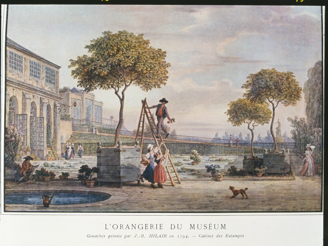 The Orangerie at the Museum in Paris in 1794  by Jean Baptiste Hilair