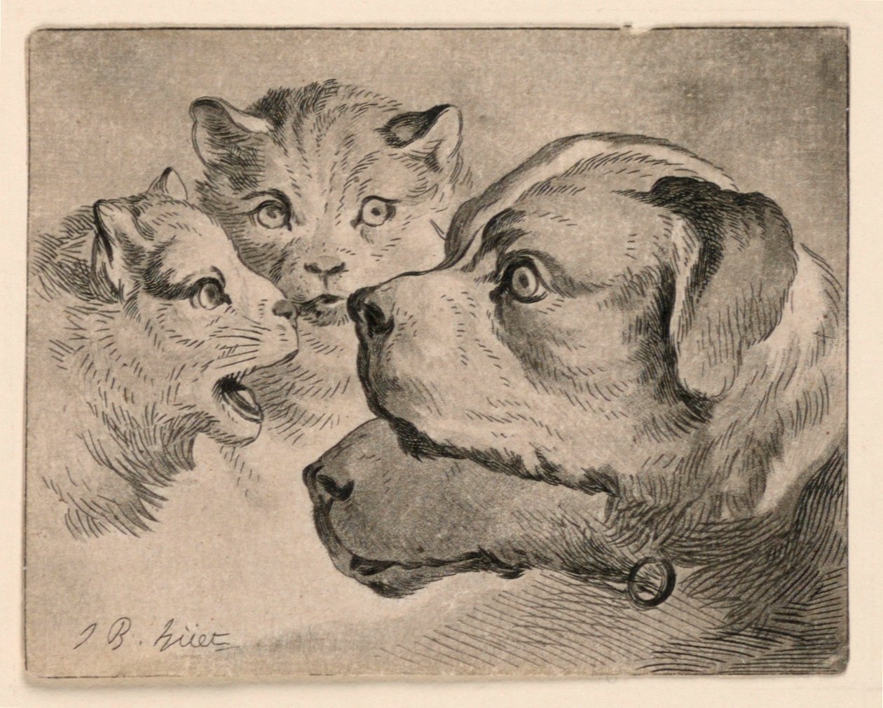 Kedi ve Köpek Başkanları by Jean Baptiste Huet