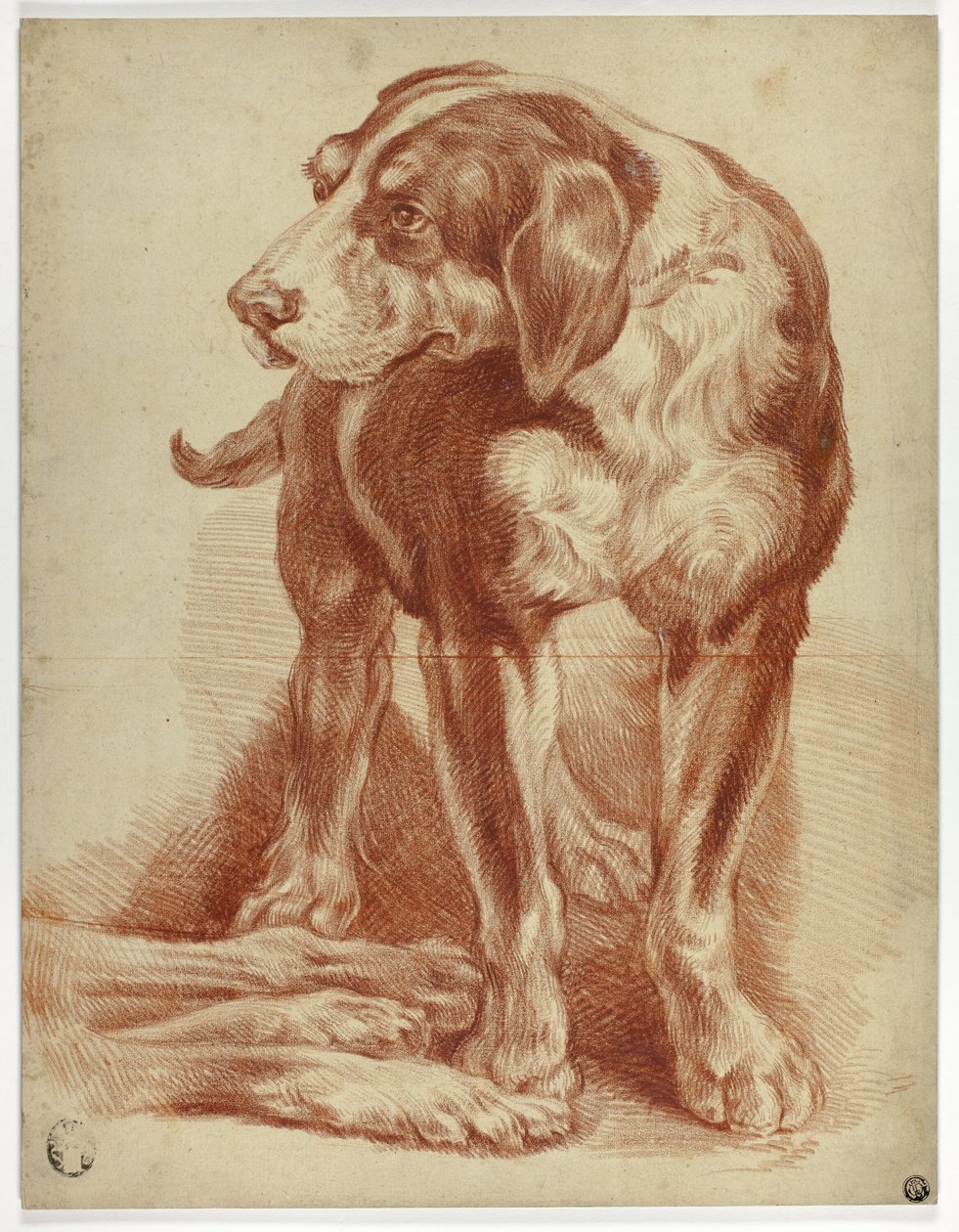  by Jean Baptiste Huet