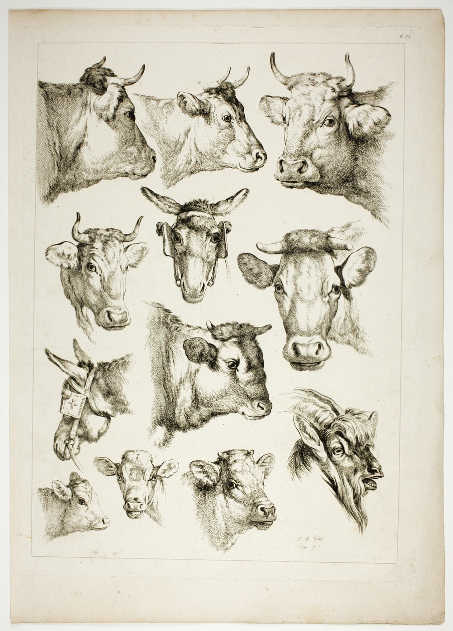 Oeuvres de J. B. Huet