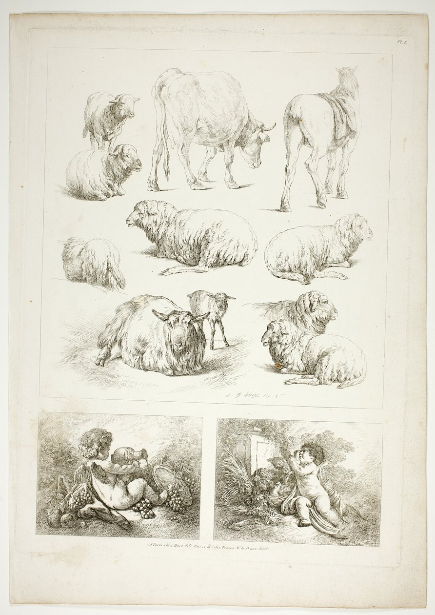 Oeuvres de J. B. Huet