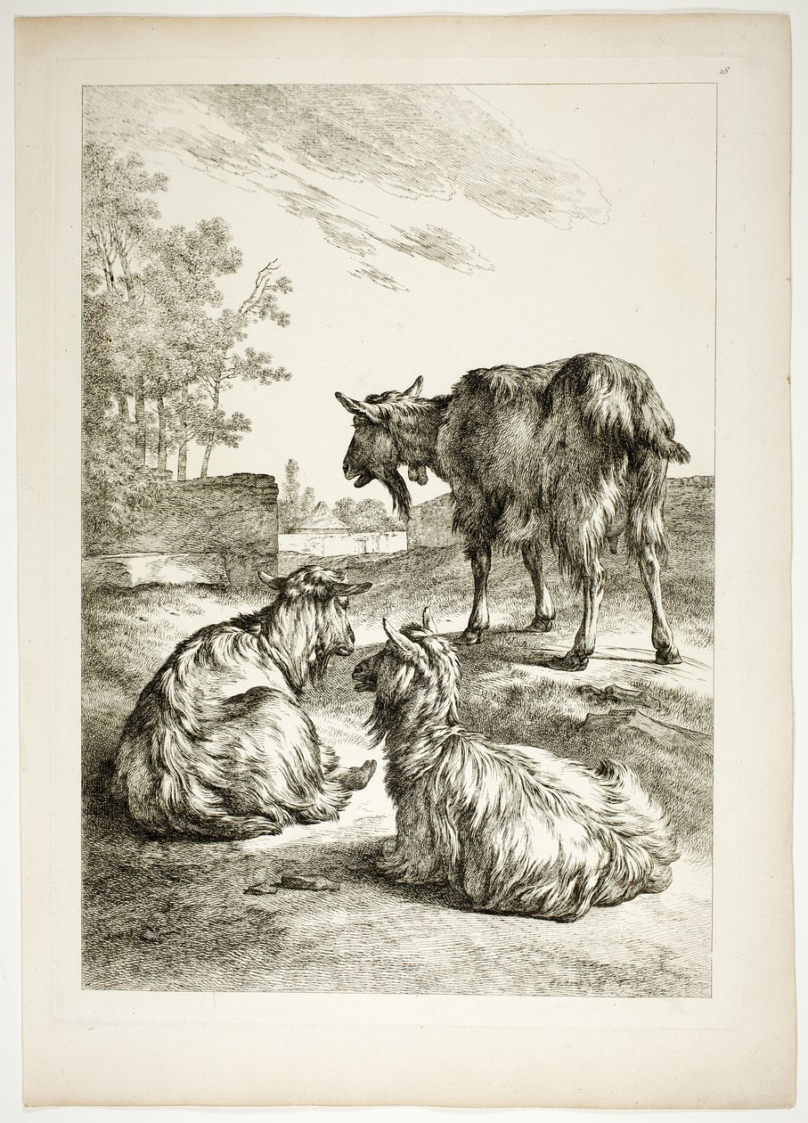 Oeuvres de J. B. Huet