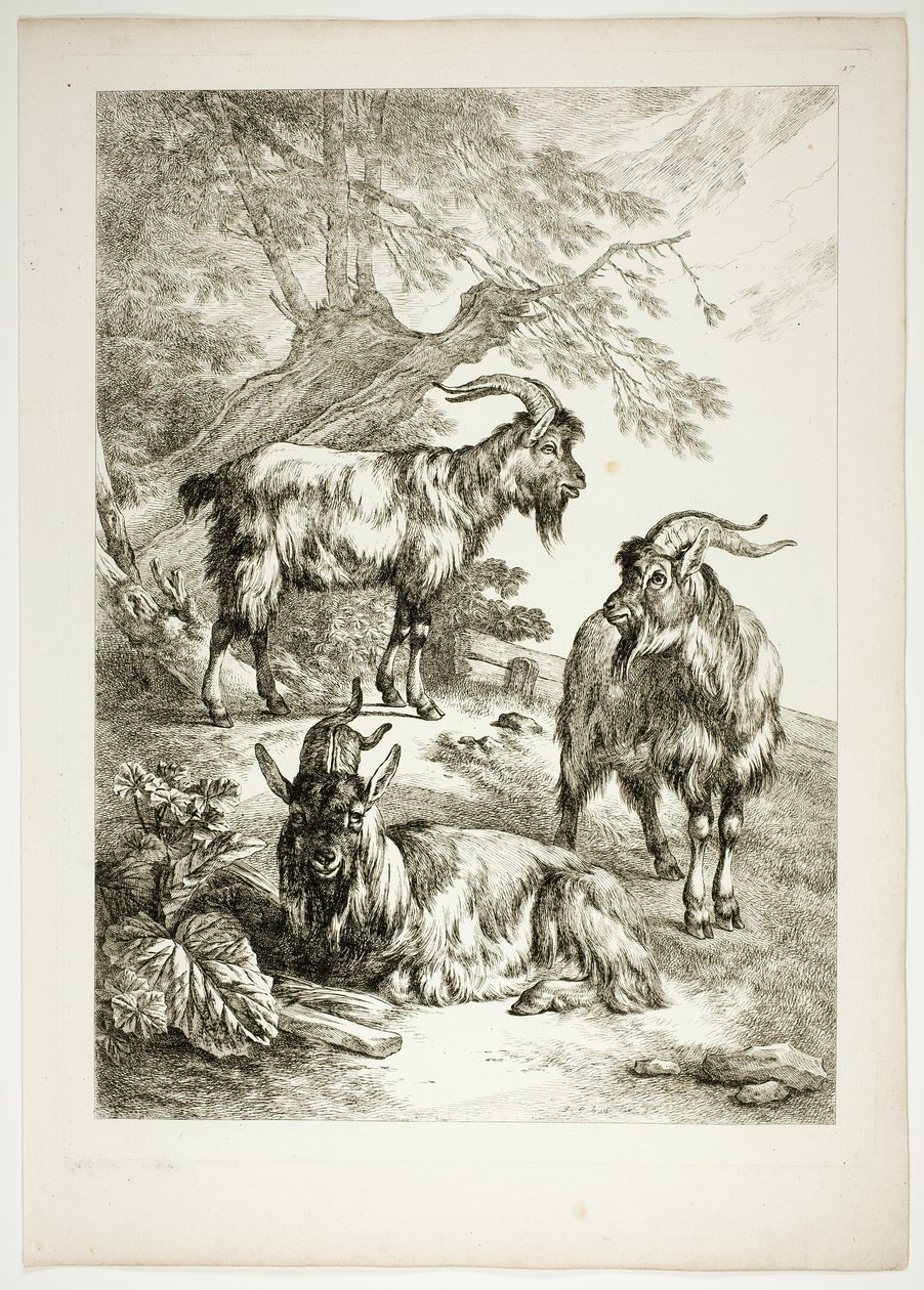 Oeuvres de J. B. Huet