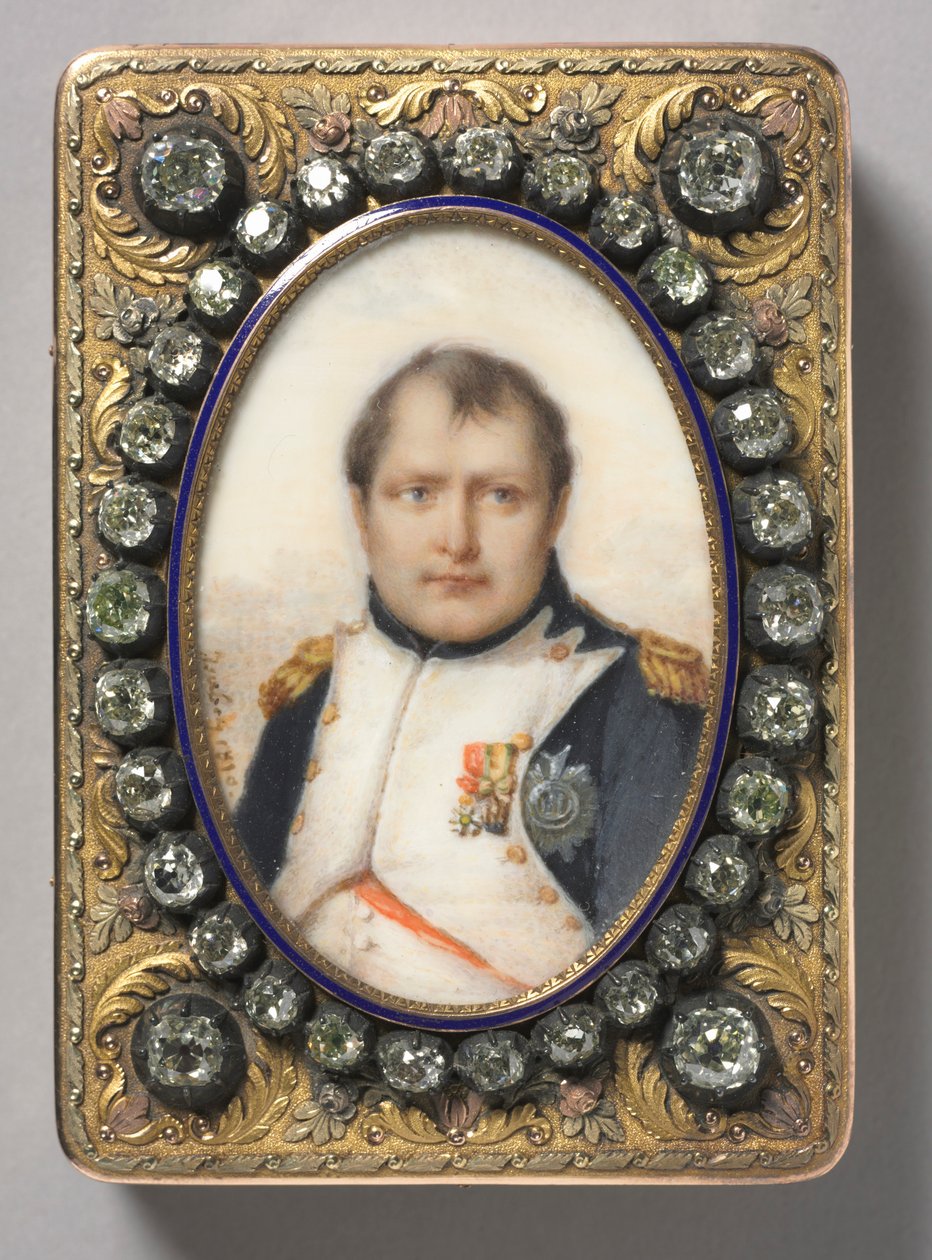 Napolyon I, Fransız İmparatoru