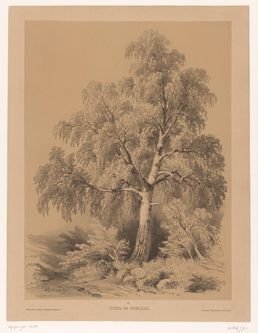 Study van een Berk Huş Çalışması (nesne üzerindeki başlık) Cüzdan van Jean Baptiste Louis Hubert (seri başlığı) Bir Sanatçının Cüzdanı (dizi adı) by Jean Baptiste Louis Hubert