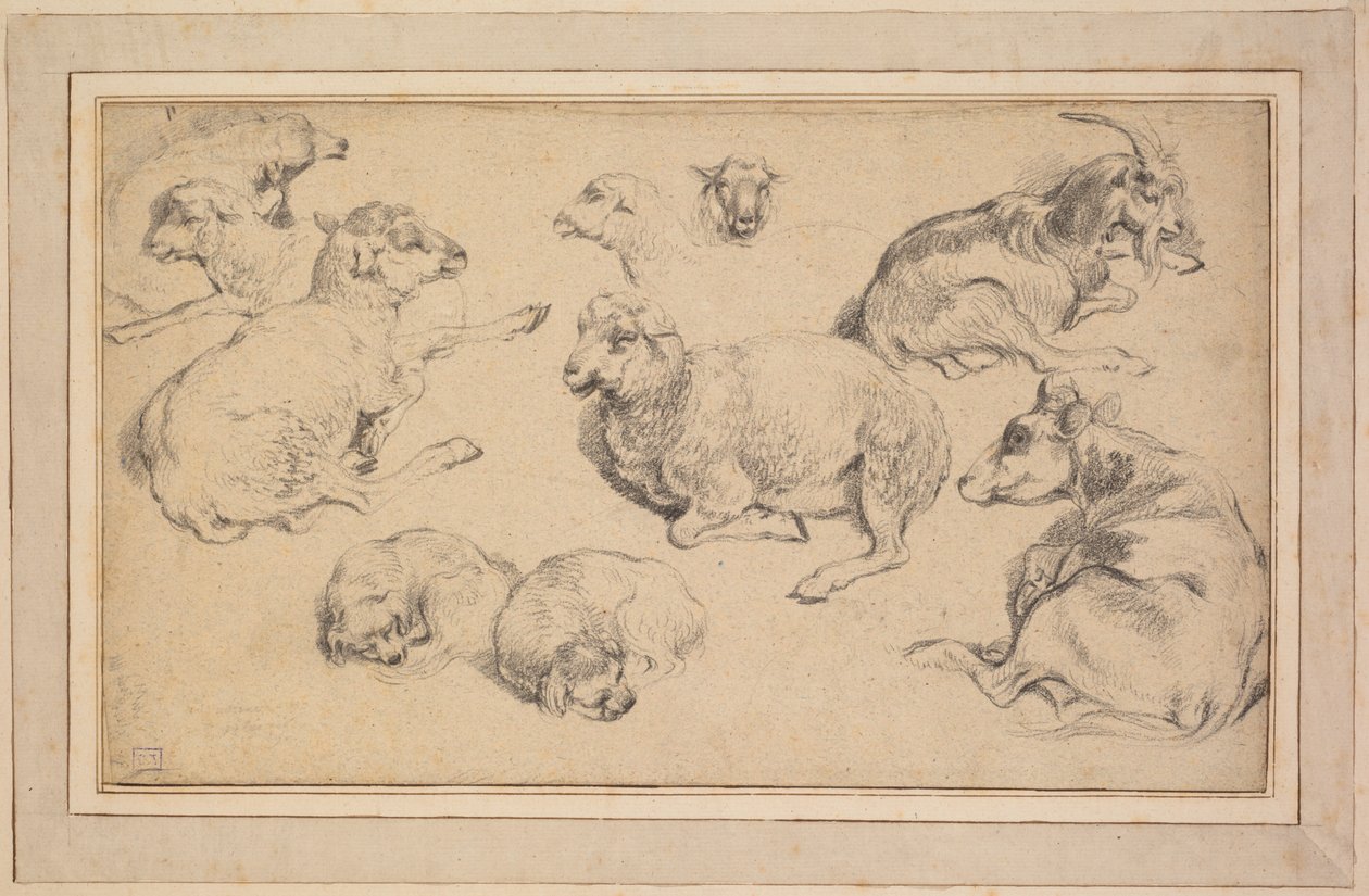 Koyun, Keçi ve Köpeklerle Çalışmalar Sayfası, c. 1780. by Jean Baptiste Marie Huet