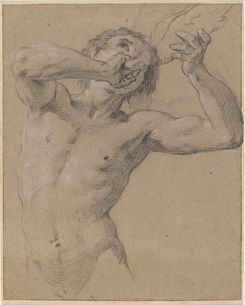 Bir deniz kabuğunu üfleyen bir Triton by Jean Baptiste Nattier
