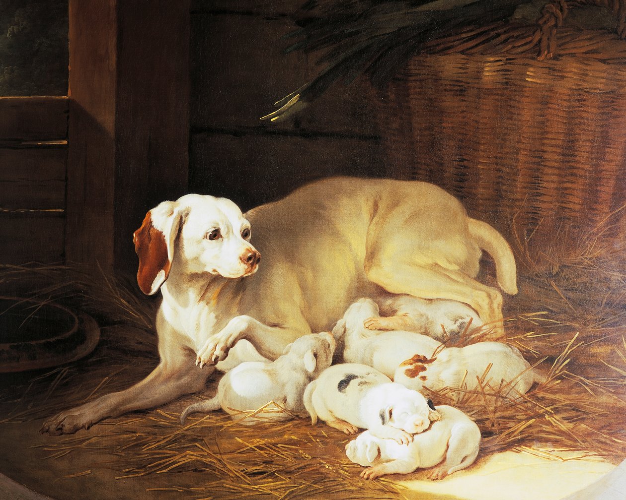 Bitch nursing puppies, detail from Lise et ses petits, by Jean-Baptiste Oudry (1686-1755), France by Jean Baptiste Oudry