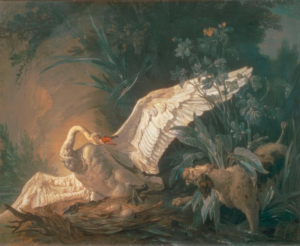Barbet köpeği yuvasında bir kuğuya saldırıyor by Jean Baptiste Oudry