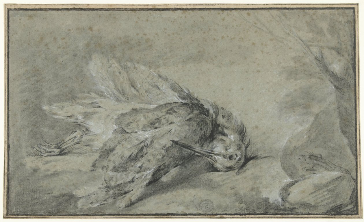 Ölü çulluk (Scolopax rusticola) by Jean Baptiste Oudry