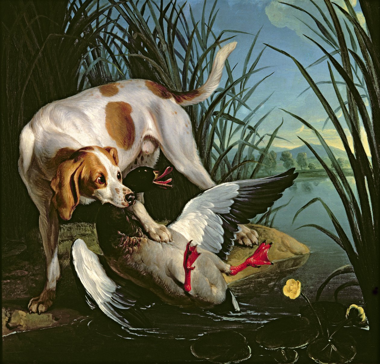Yaban ördeği olan köpek by Jean Baptiste Oudry