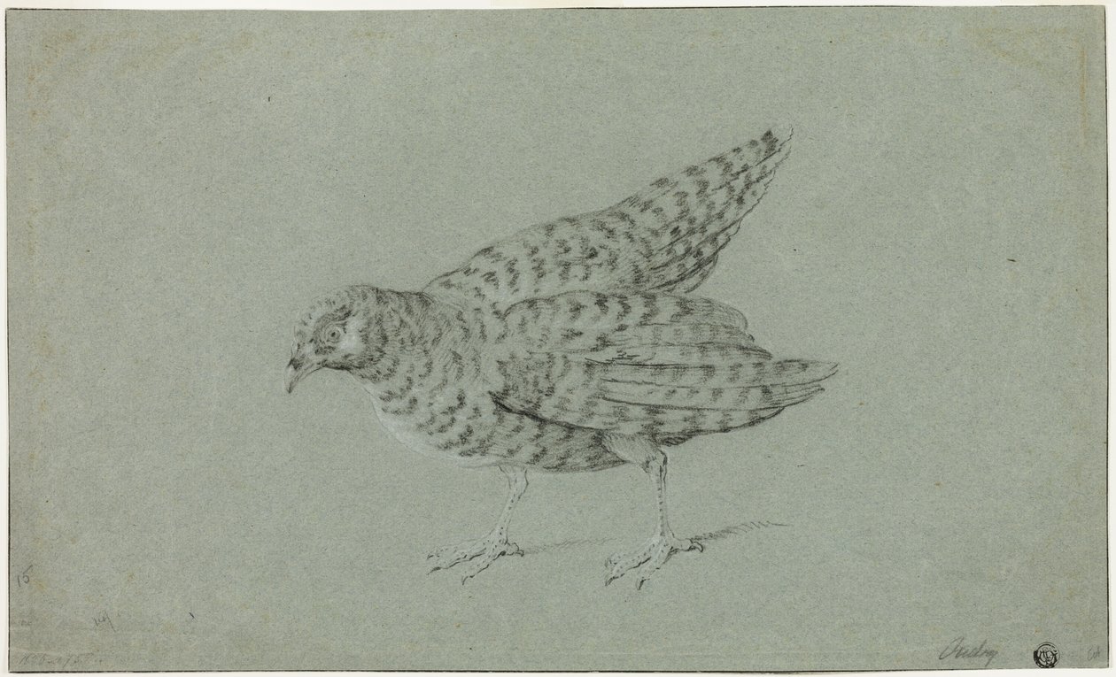Keklik by Jean Baptiste Oudry
