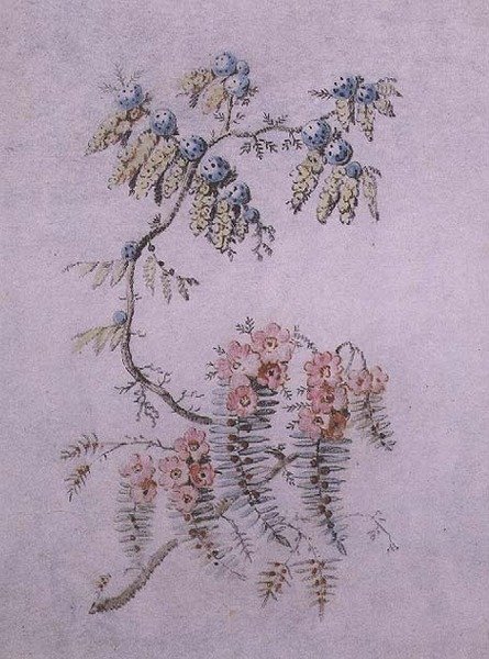 Çiçeklerin ve Meyvelerin Dekoratif Çalışması by Jean Baptiste Pillement