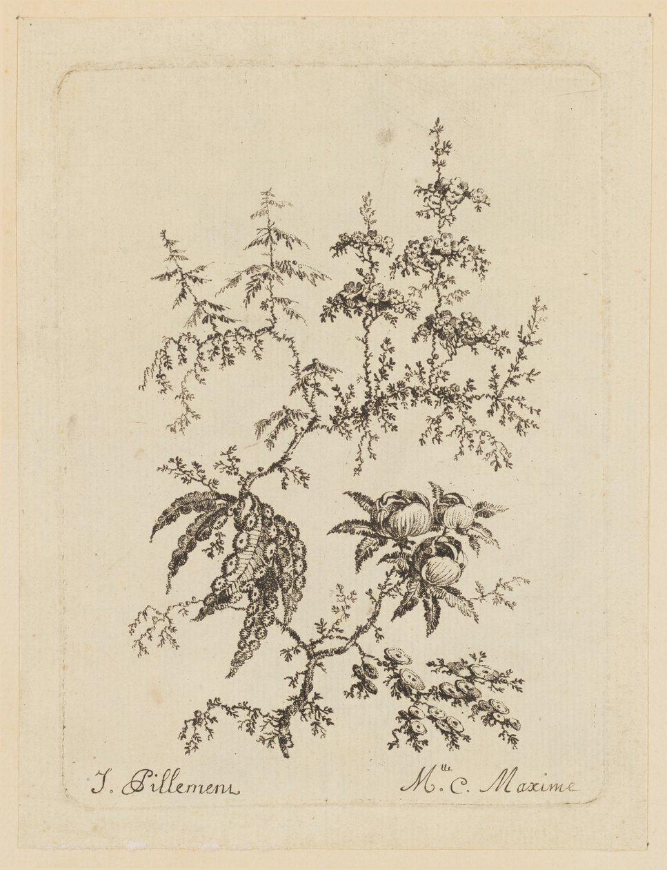 fantastik çiçek by Jean Baptiste Pillement