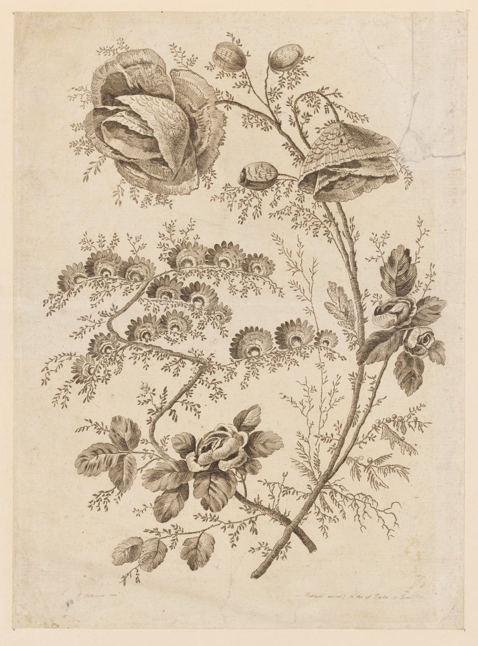 "Cahier de Fleurs Singuliers" dan Çiçek Dal, by Jean Baptiste Pillement