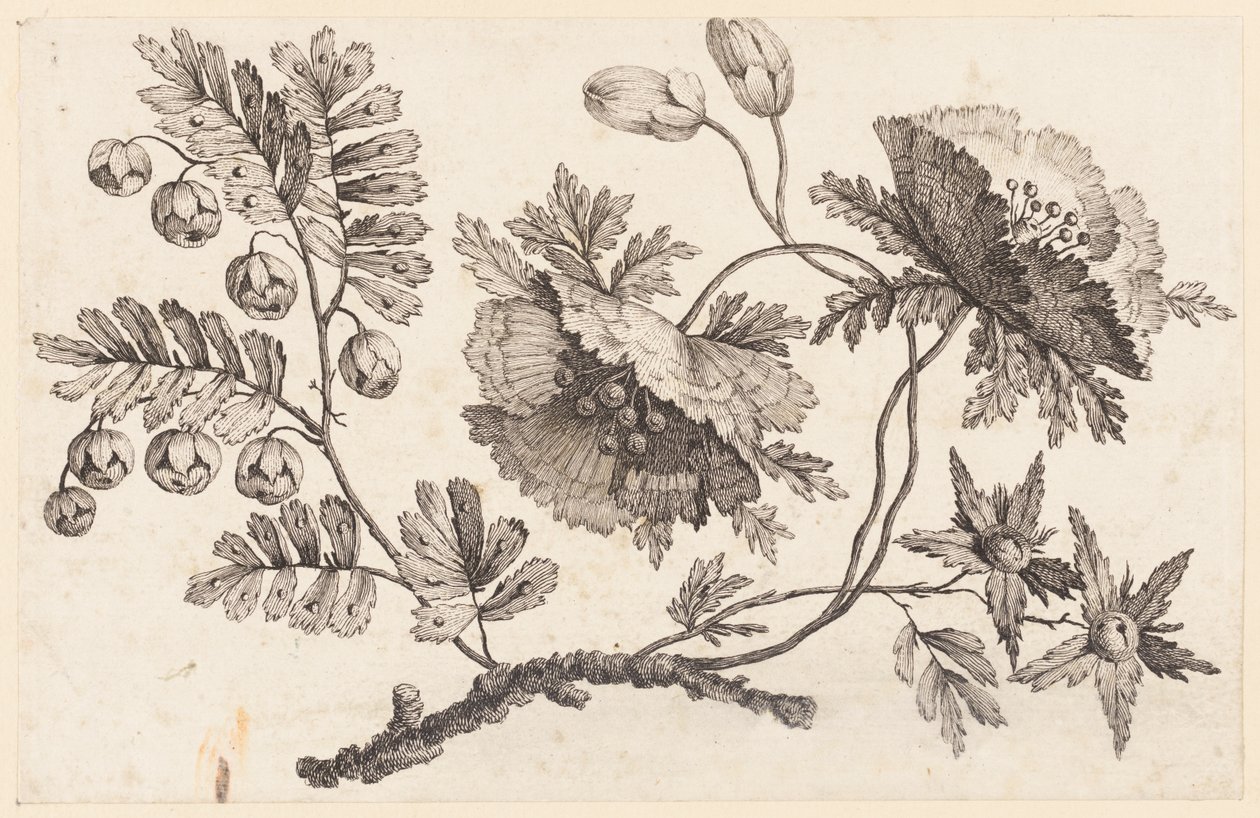 "Çin Çiçeği Koleksiyonu"ndan Çiçek Dalı by Jean Baptiste Pillement