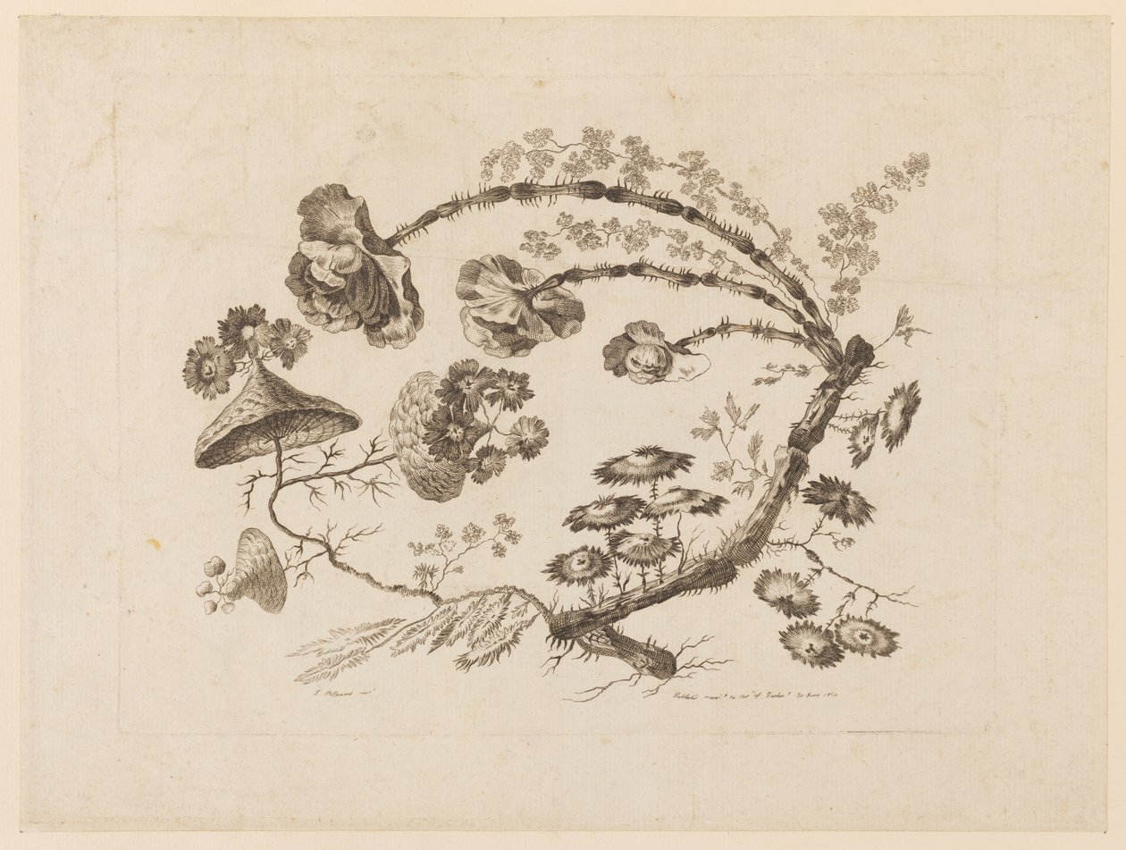 Çiçek Dalları, "Çin Zevkinde Farklı Fantazi Çiçekler Koleksiyonu"ndan by Jean Baptiste Pillement