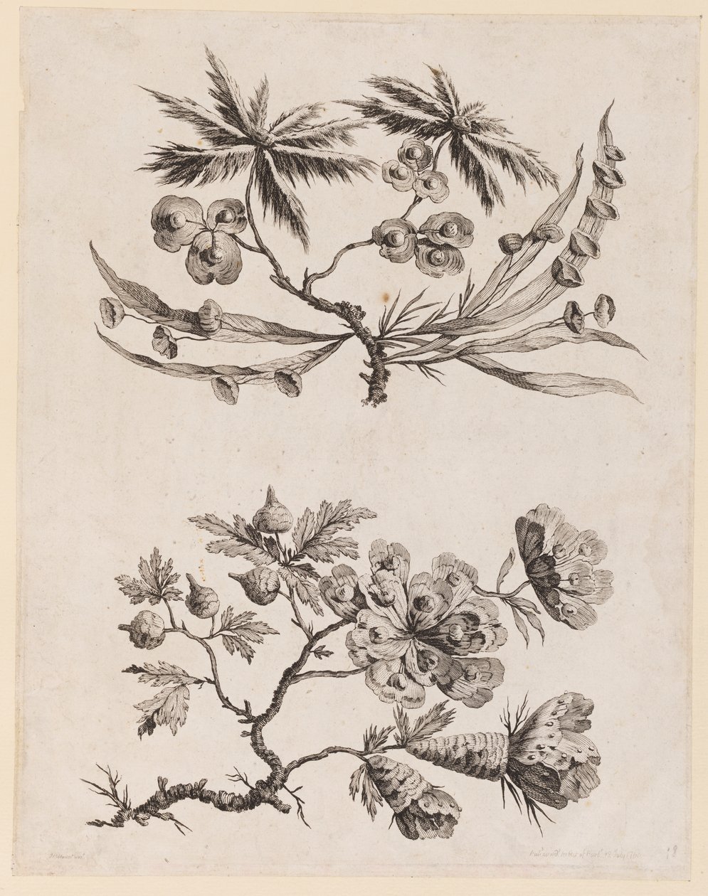 "Çin Çiçek Koleksiyonu"ndan Çiçek Dalları by Jean Baptiste Pillement