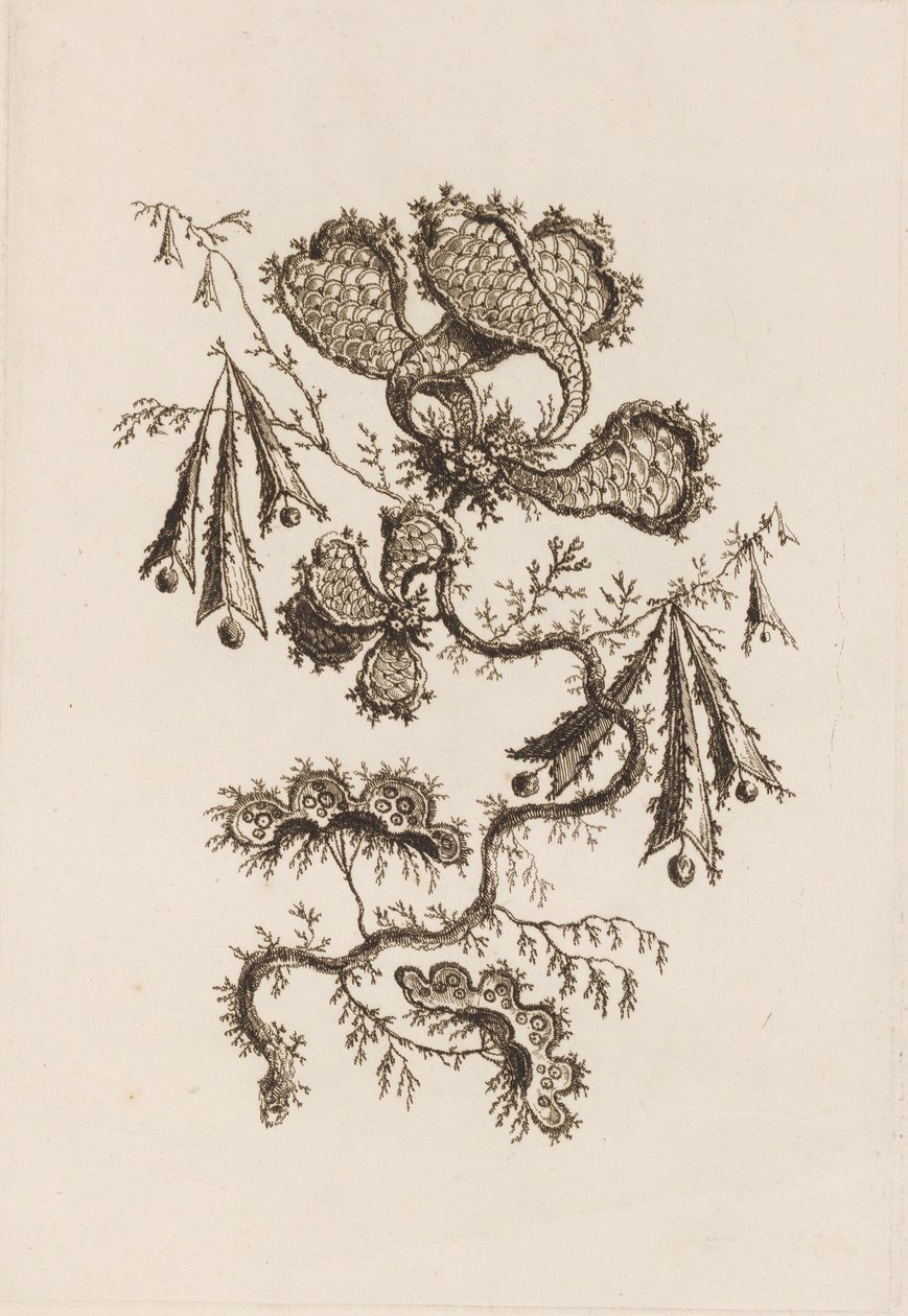"Fleurs Persanes" den Çiçek Dalı by Jean Baptiste Pillement