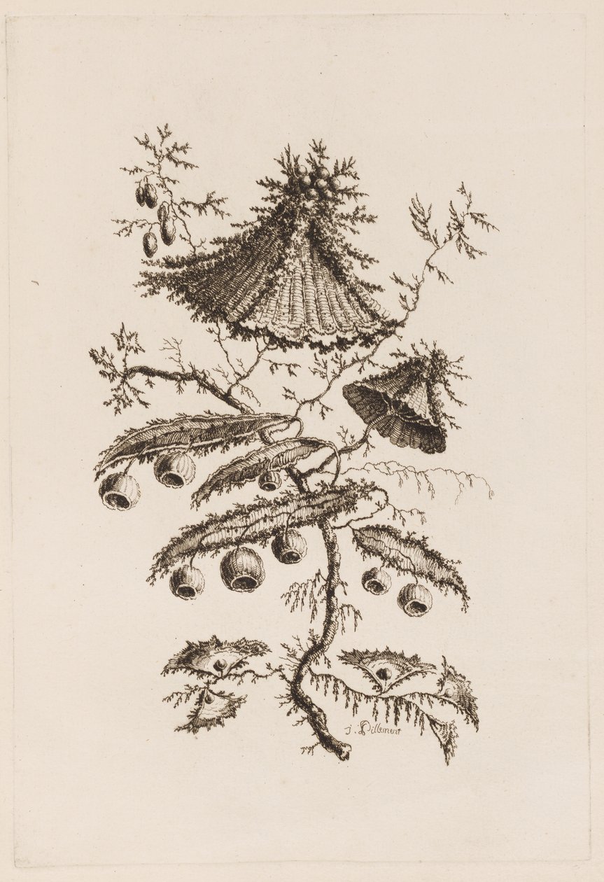 "Fleurs Persanes" den Çiçek Dalı by Jean Baptiste Pillement
