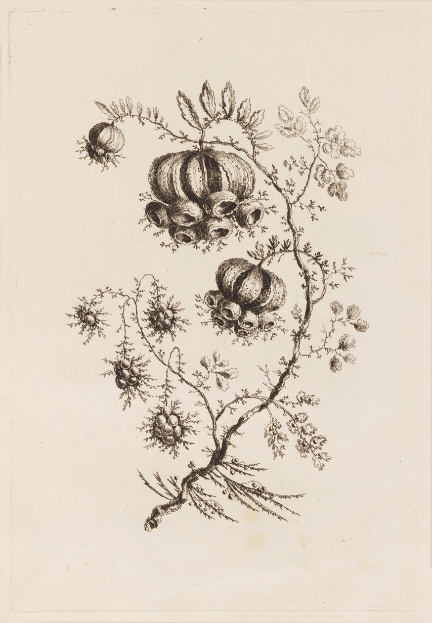 "Fleurs Persanes" den Çiçek Dalı by Jean Baptiste Pillement