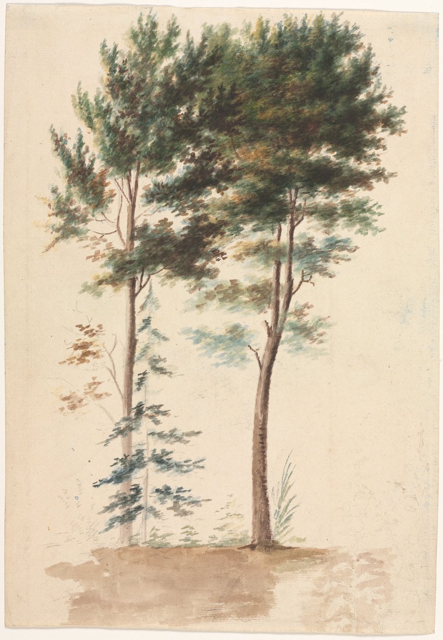 Ağaçlar, 1700