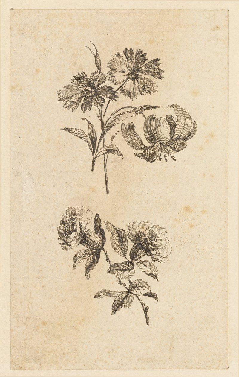 İki Çiçek Dal by Jean Baptiste Pillement