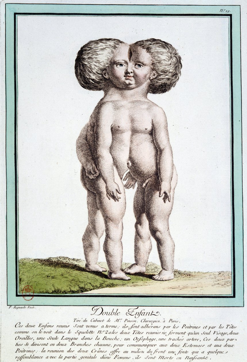 Siyam çocukları - Régnault