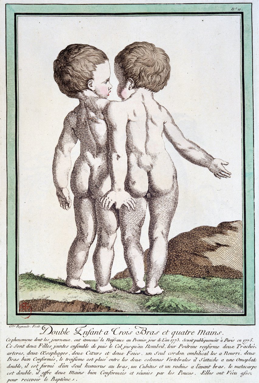Siyam çocukları - Régnault
